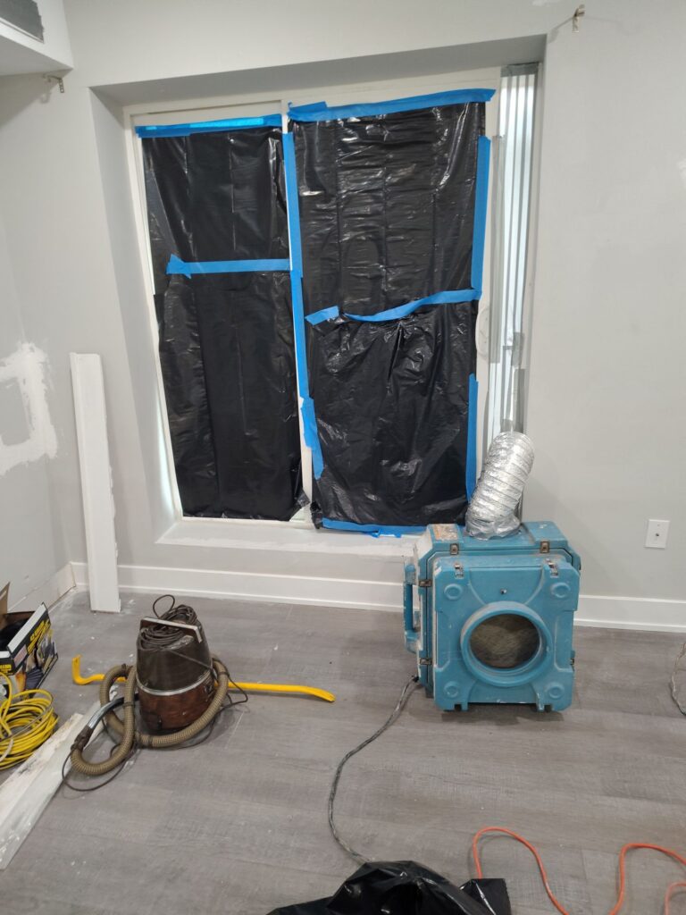 Basement Mold Remediation Situation 1