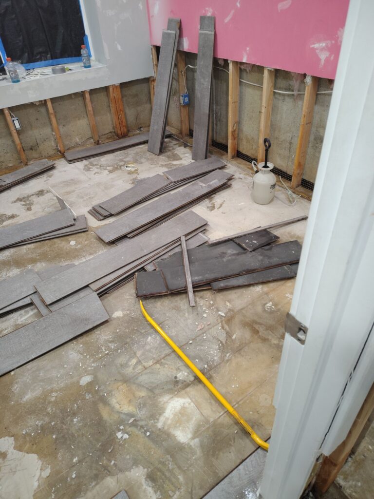 Basement Mold Remediation Situation 2