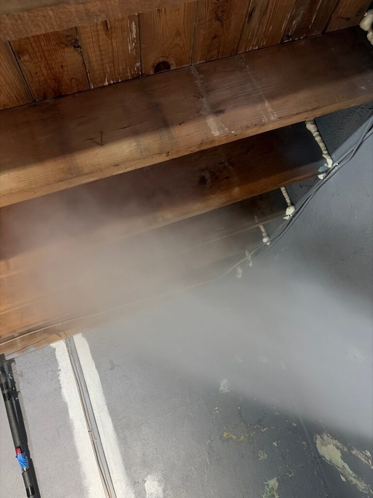 Basement Attic Situation 3