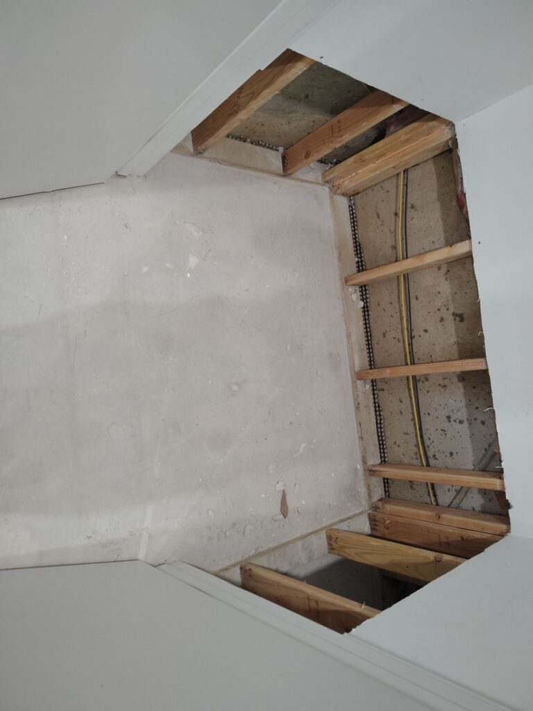 Basement Mold Remediation Situation 4