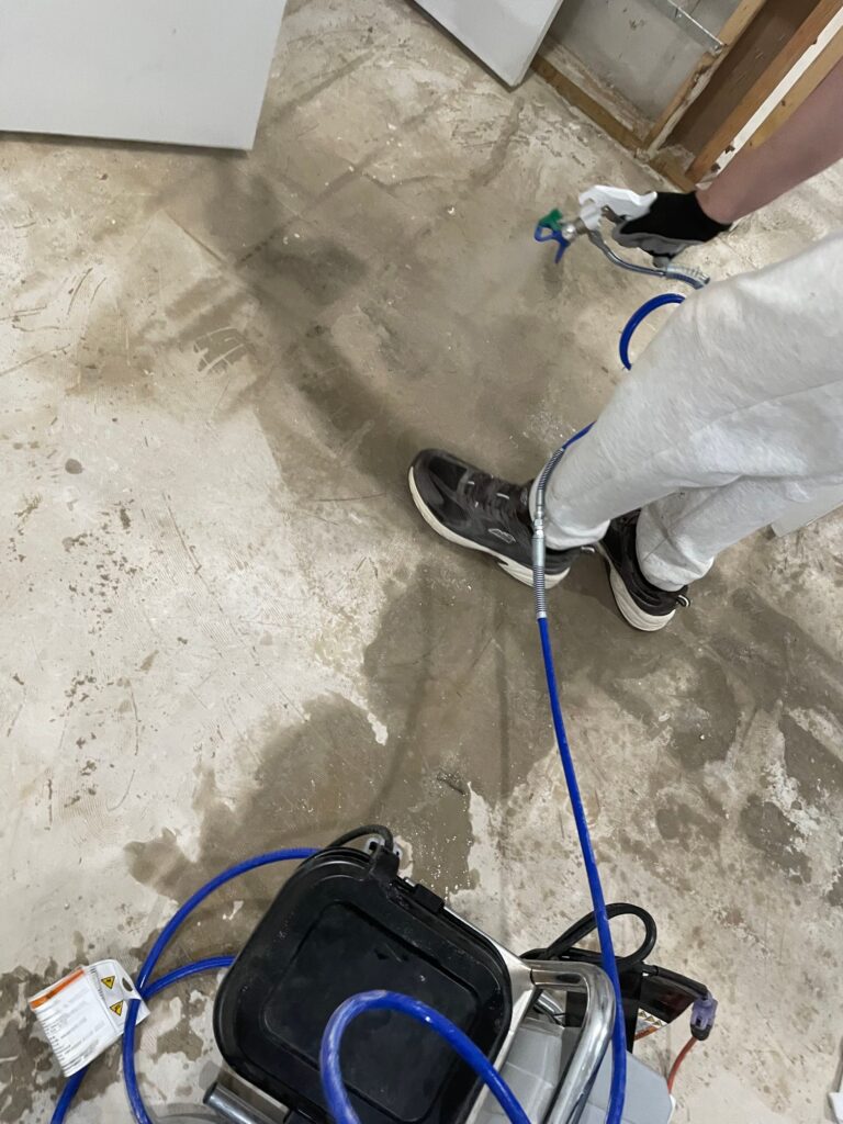 Basement Mold Remediation Situation 5