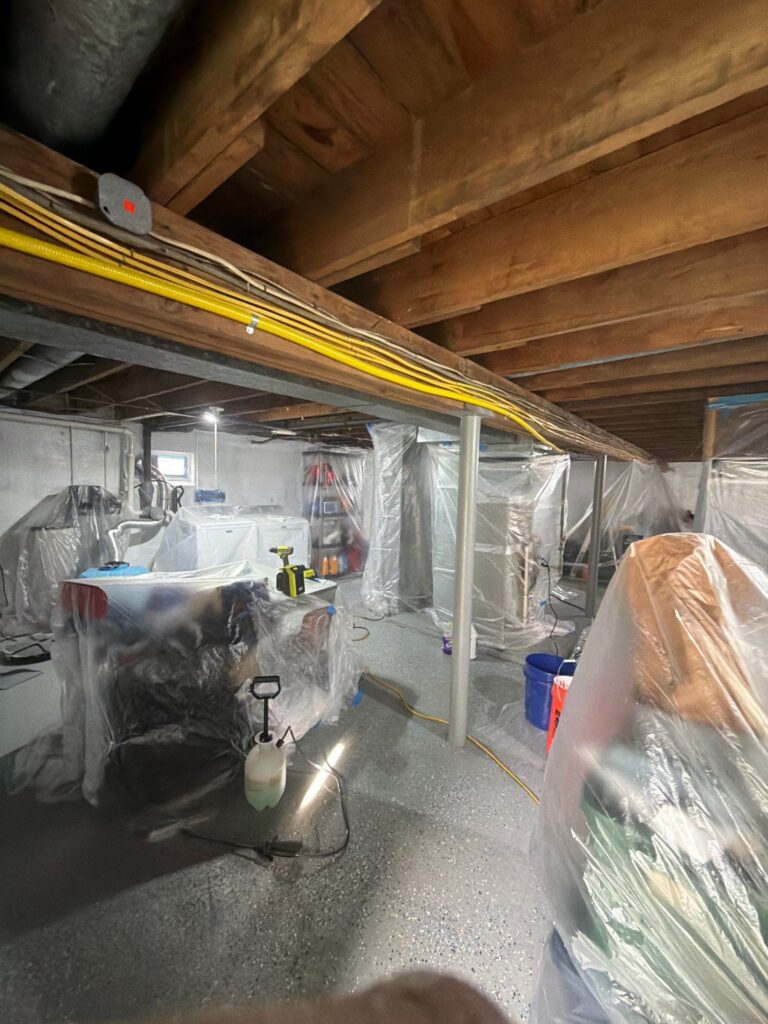 Basement Attic Situation 5