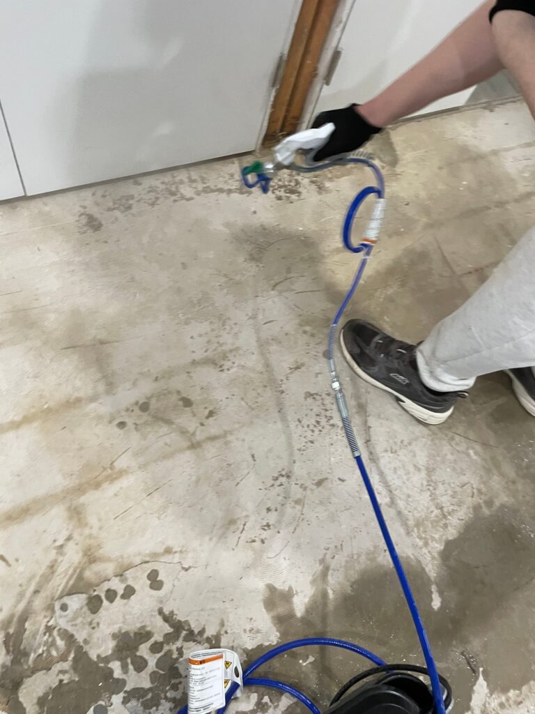 Basement Mold Remediation Situation 6