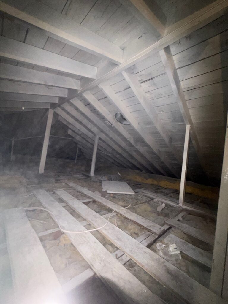 Basement Attic result 2