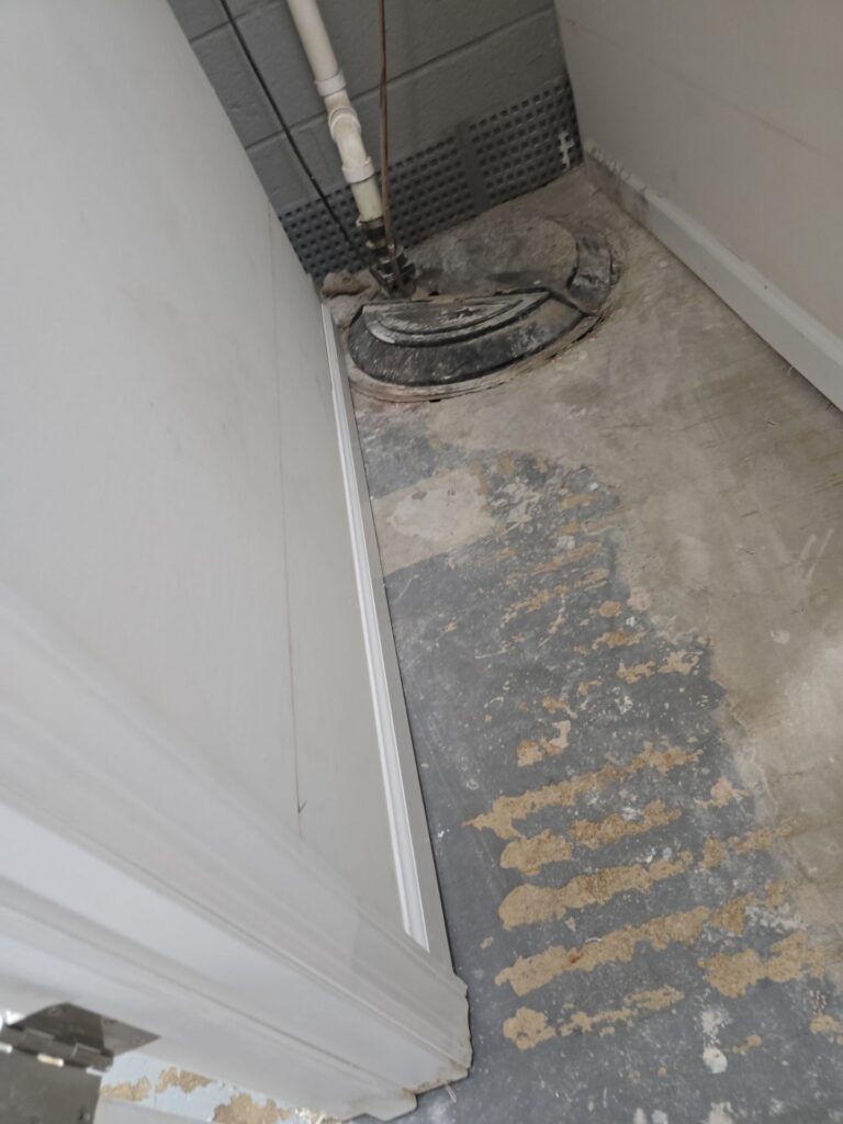 Basement Mold Remediation 1