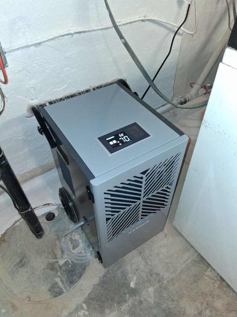 Basement Mold Remediation Bala Cynwyd, PA 19004 13 Basement Mold Remediation Bala Cynwyd Situation 2