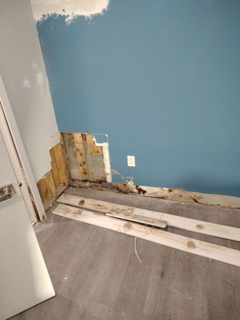 Basement Mold Remediation, Philadelphia PA