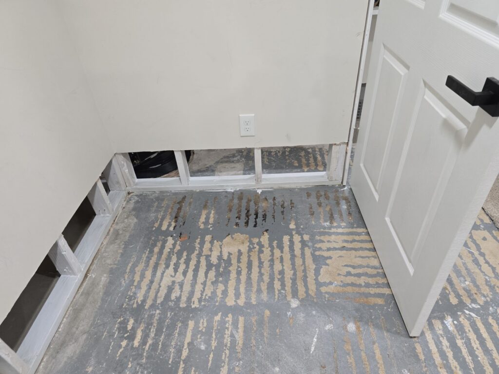 Basement Mold Remediation Result 3