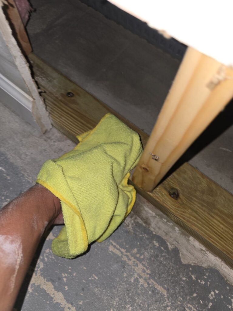 Basement Mold Remediation Situation 1