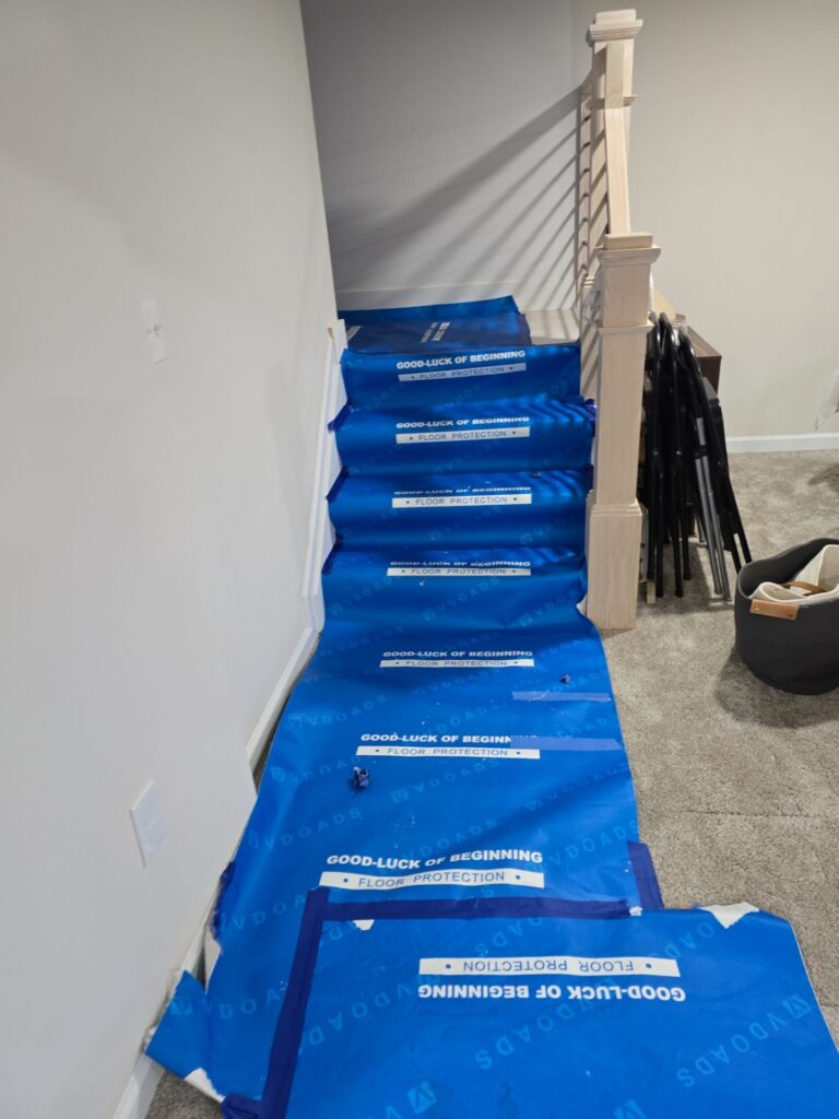 Basement Mold Remediation Situation 6