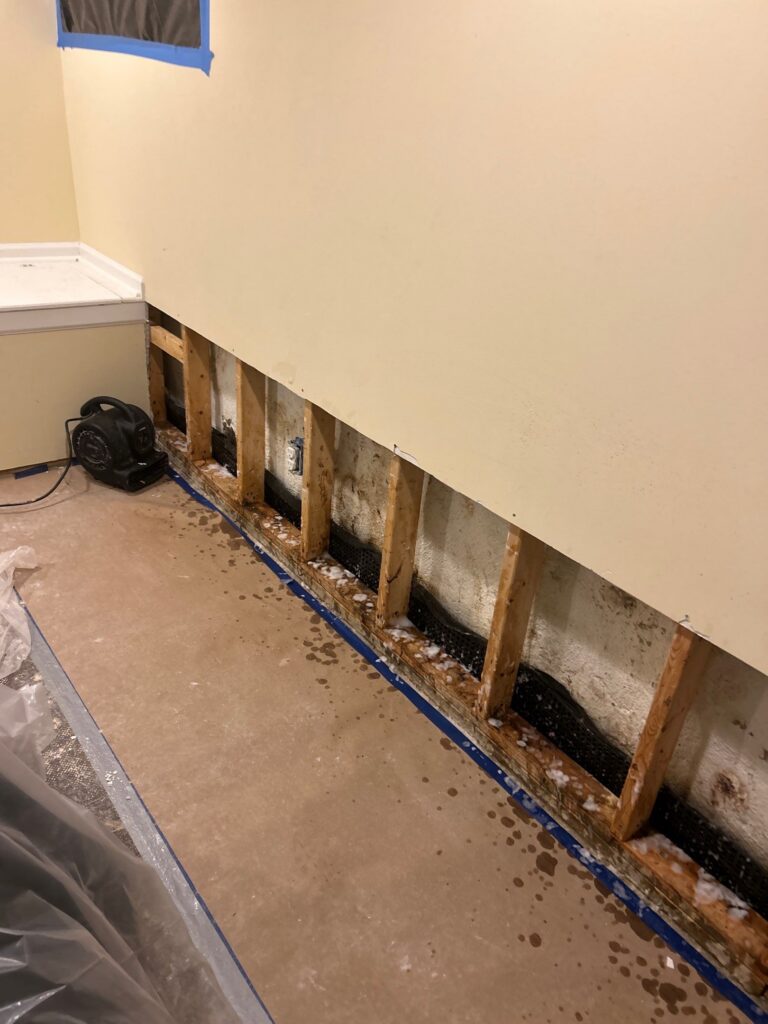 Basement Water Removal & Mold Remediation Havertown