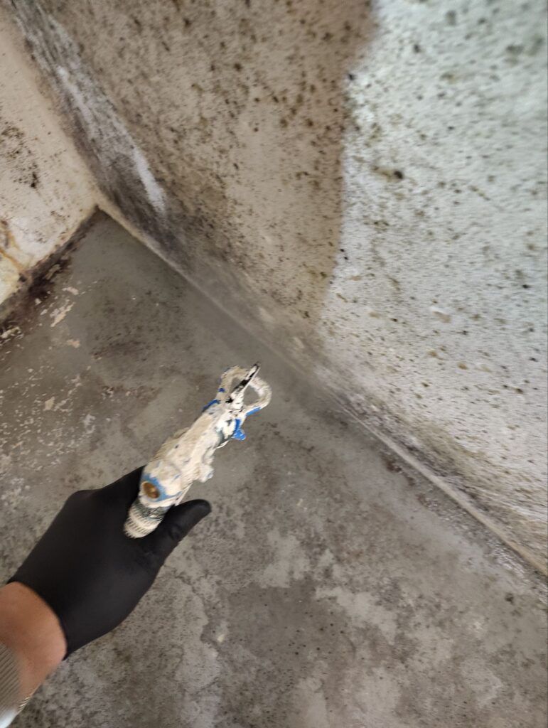 Commercial Basement Remediation Situation 6