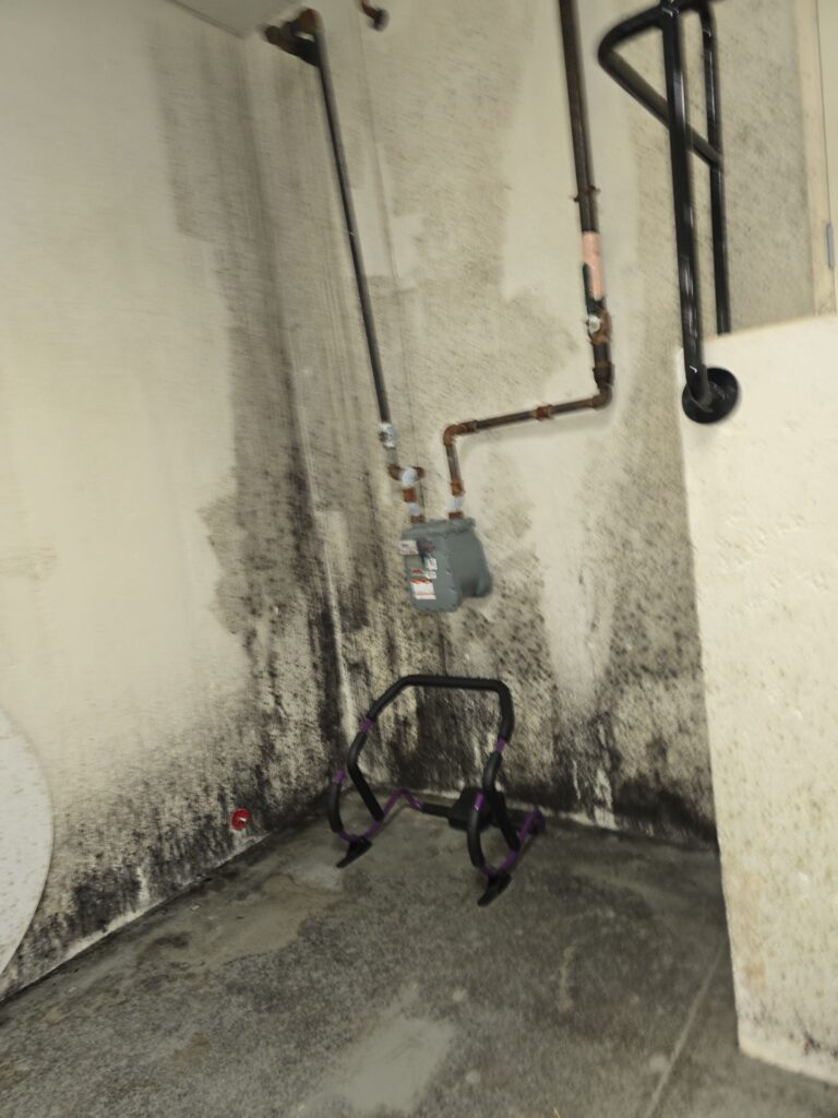 Commercial Basement Remediation Situation 7