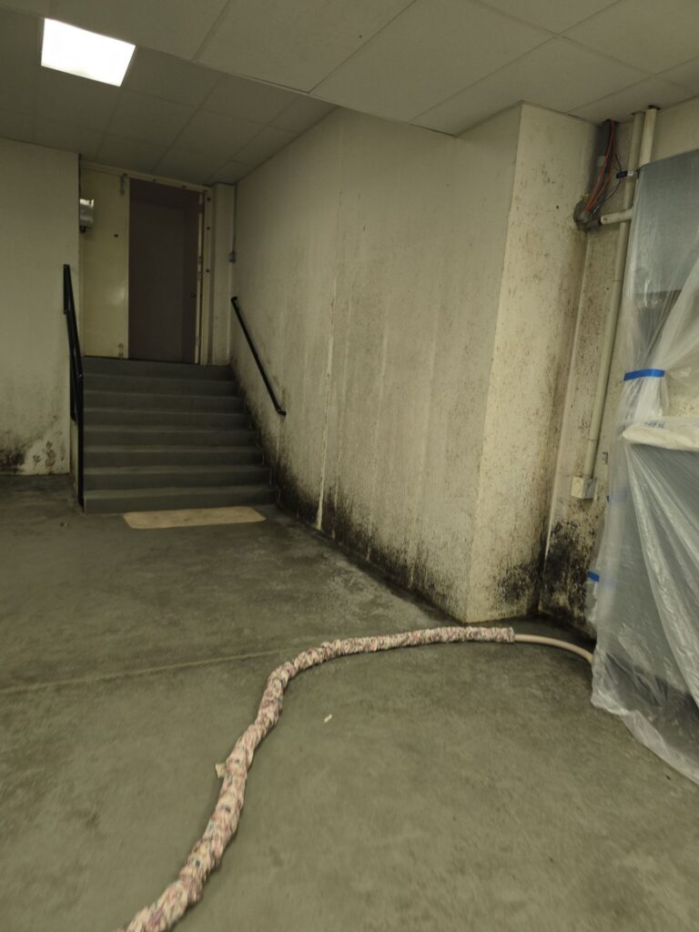 Commercial Basement Remediation Situation 8
