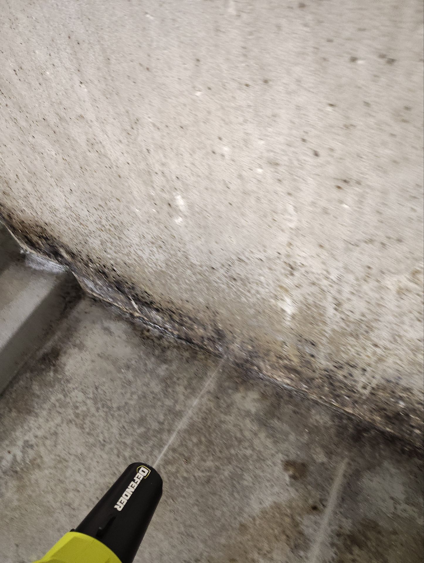 Commercial Basement Remediation