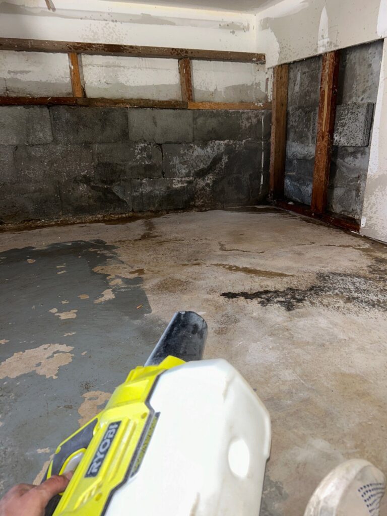 Crawlspace Mold Remediation Situation 1