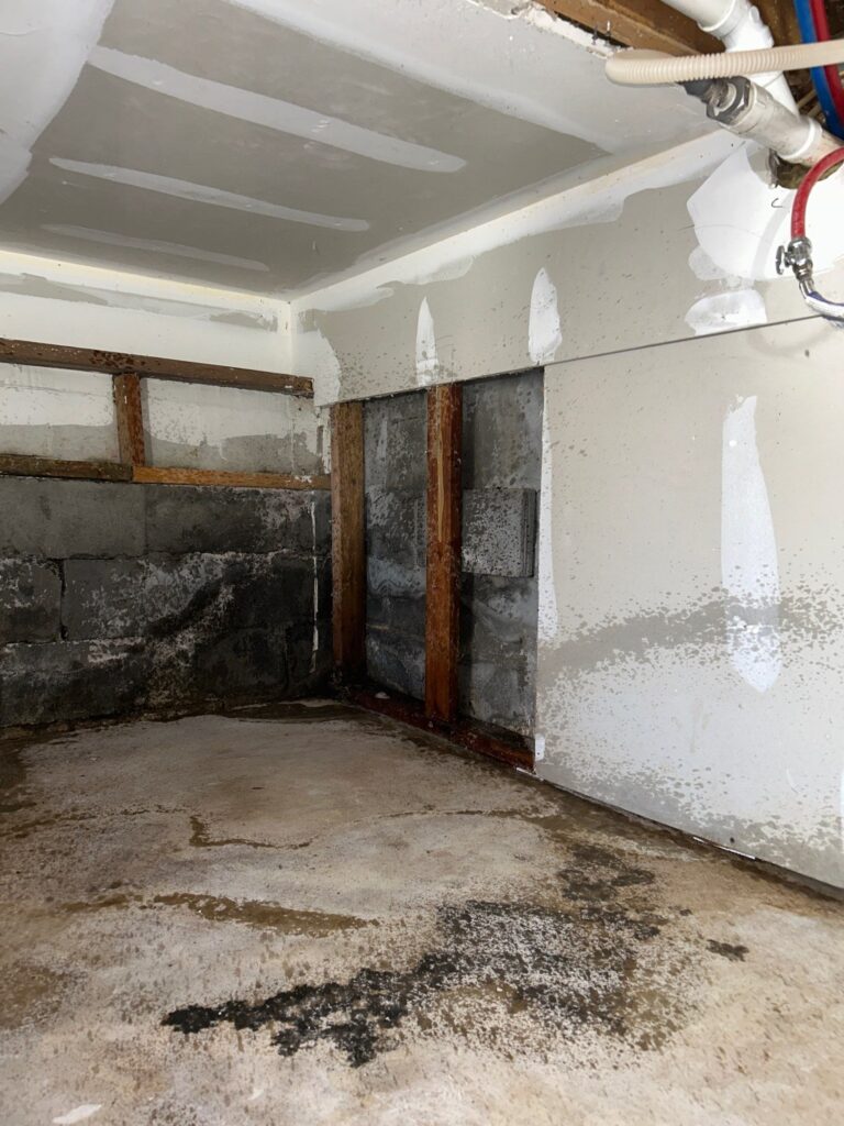 Crawlspace Mold Remediation Situation 2