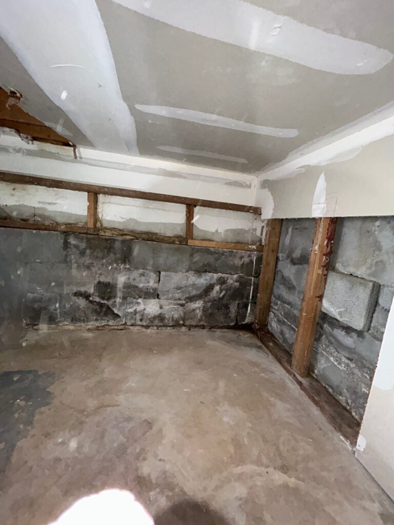Crawlspace Mold Remediation, West Chester