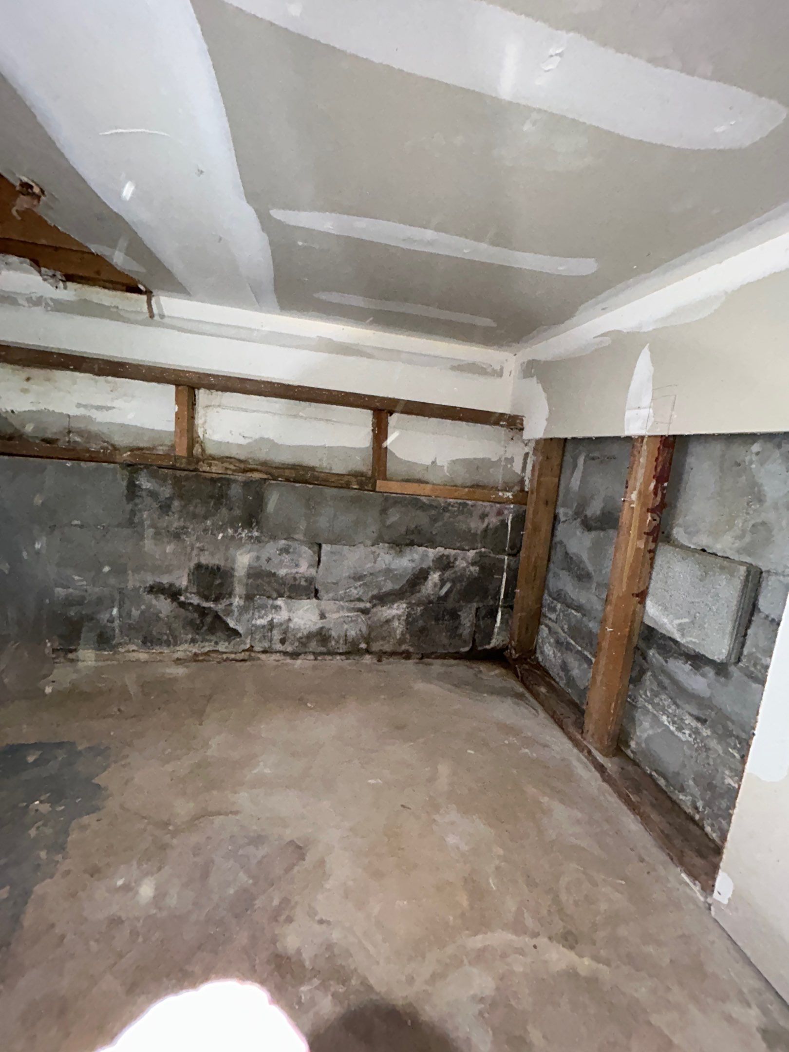 Crawlspace Mold Remediation, West Chester