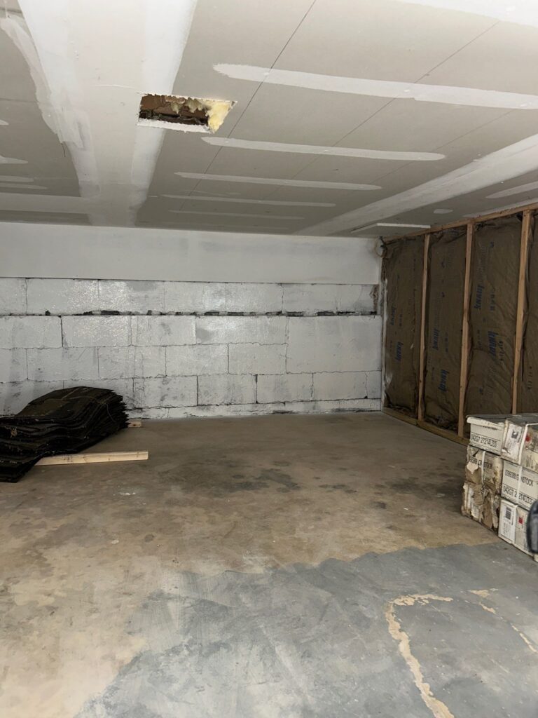 Crawlspace Mold Remediation result 5