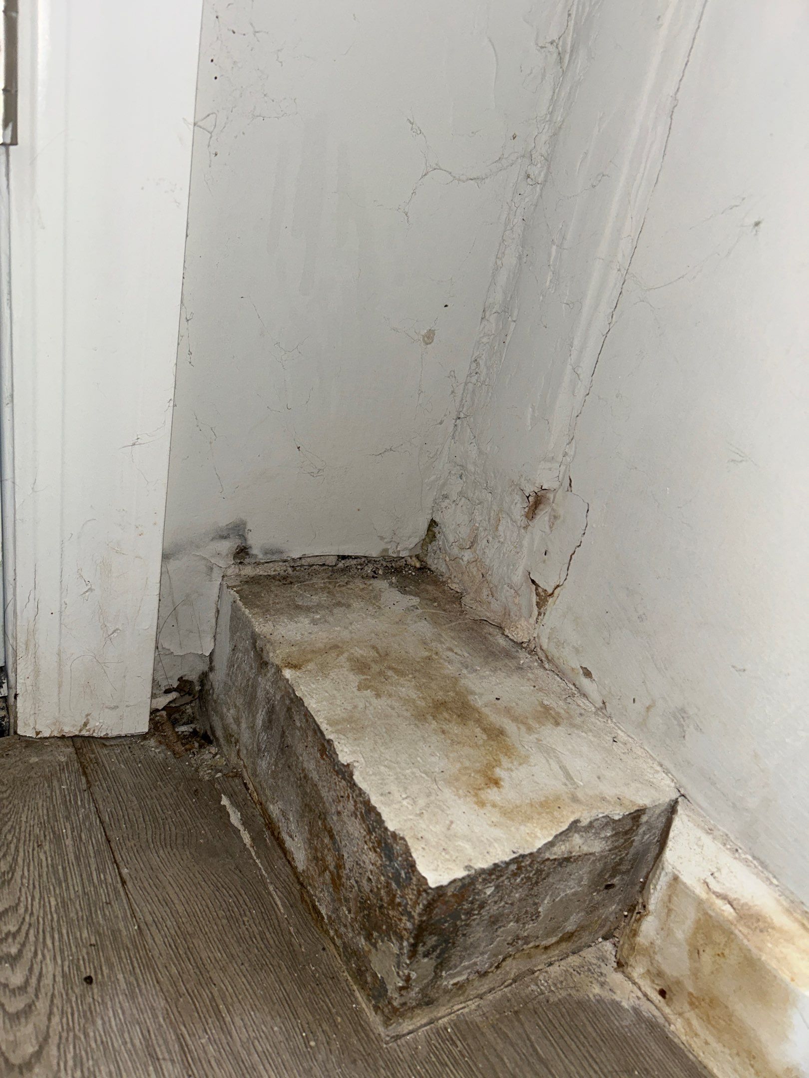 Front Entrance Room Mold Remediation, Philadelphia PA