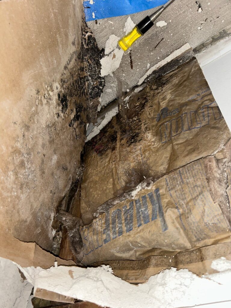 Front Entrance Room Mold Remediation Situation 3