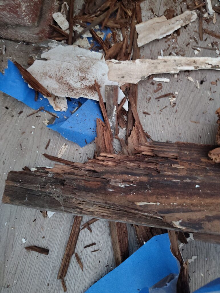 Front Entrance Room Mold Remediation Situation 4