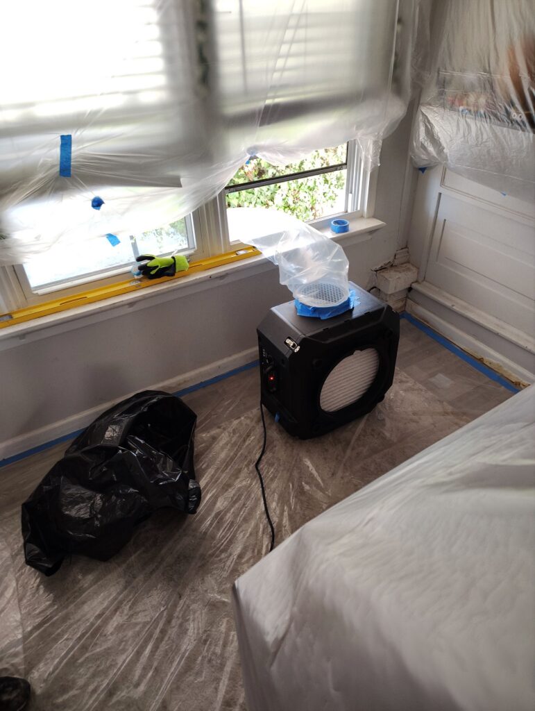 Front Entrance Room Mold Remediation Situation 5