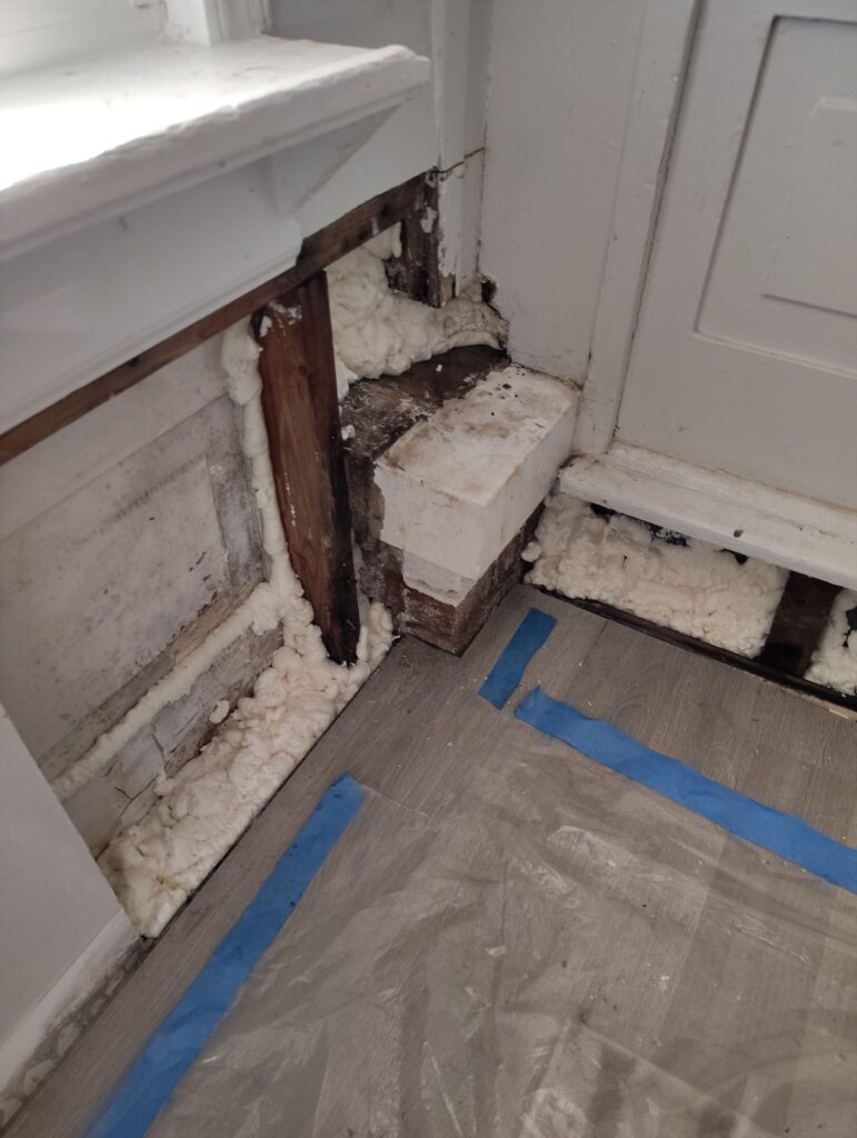Front Entrance Room Mold Remediation Situation