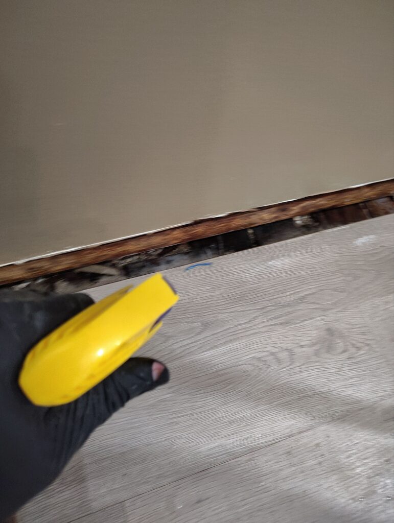 Front Entrance Room Mold Remediation Situation2