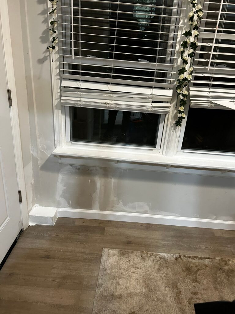 Front Entrance Room Mold Remediation result 2