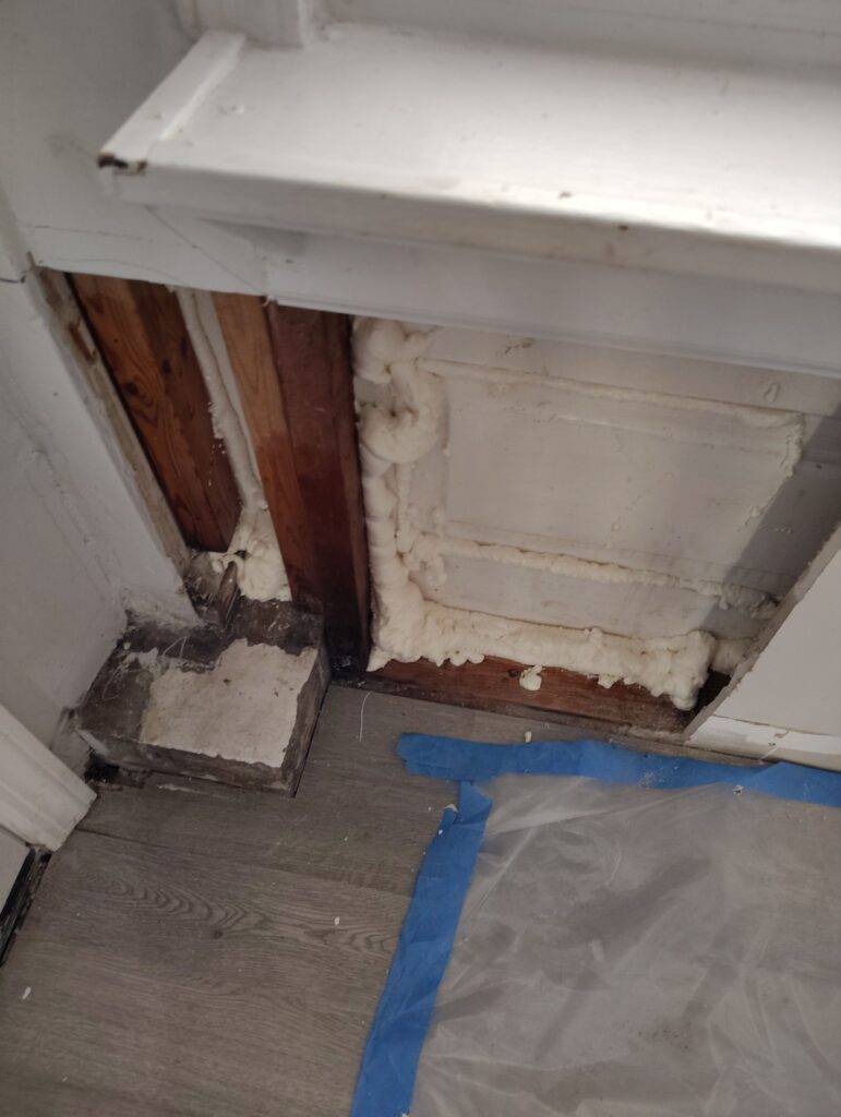 Front Entrance Room Mold Remediation result 4