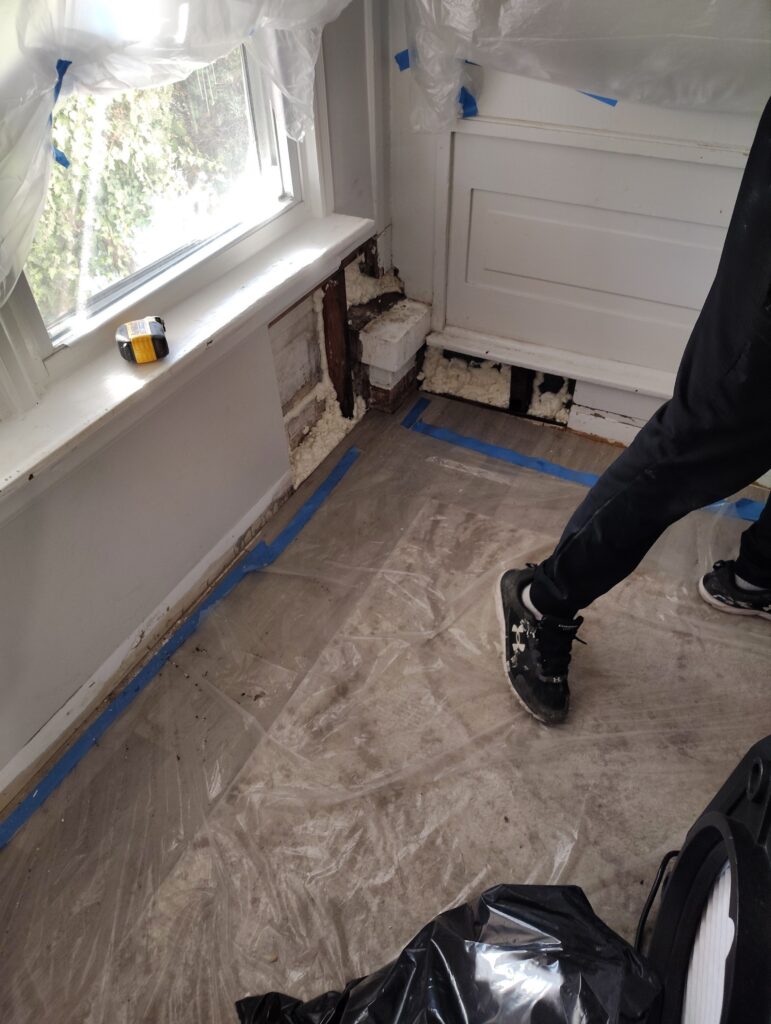 Front Entrance Room Mold Remediation result 5