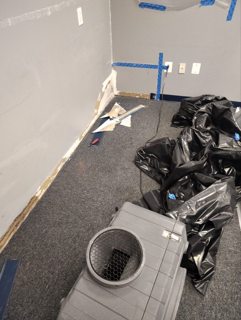 Mold Remediation / Air Duct Cleaning