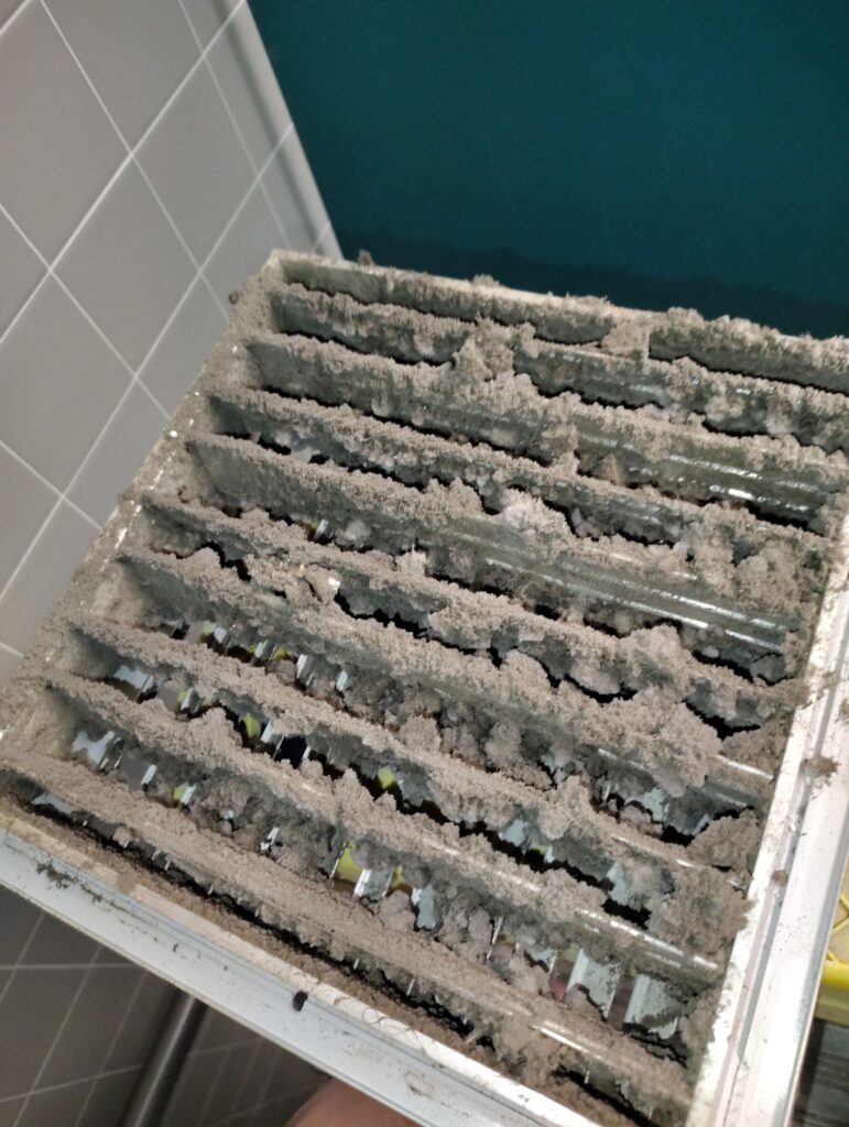 Basement Mold Remediation Bala Cynwyd, PA 19004 1 Mold Remediation Air Duct Cleaning Situation 1