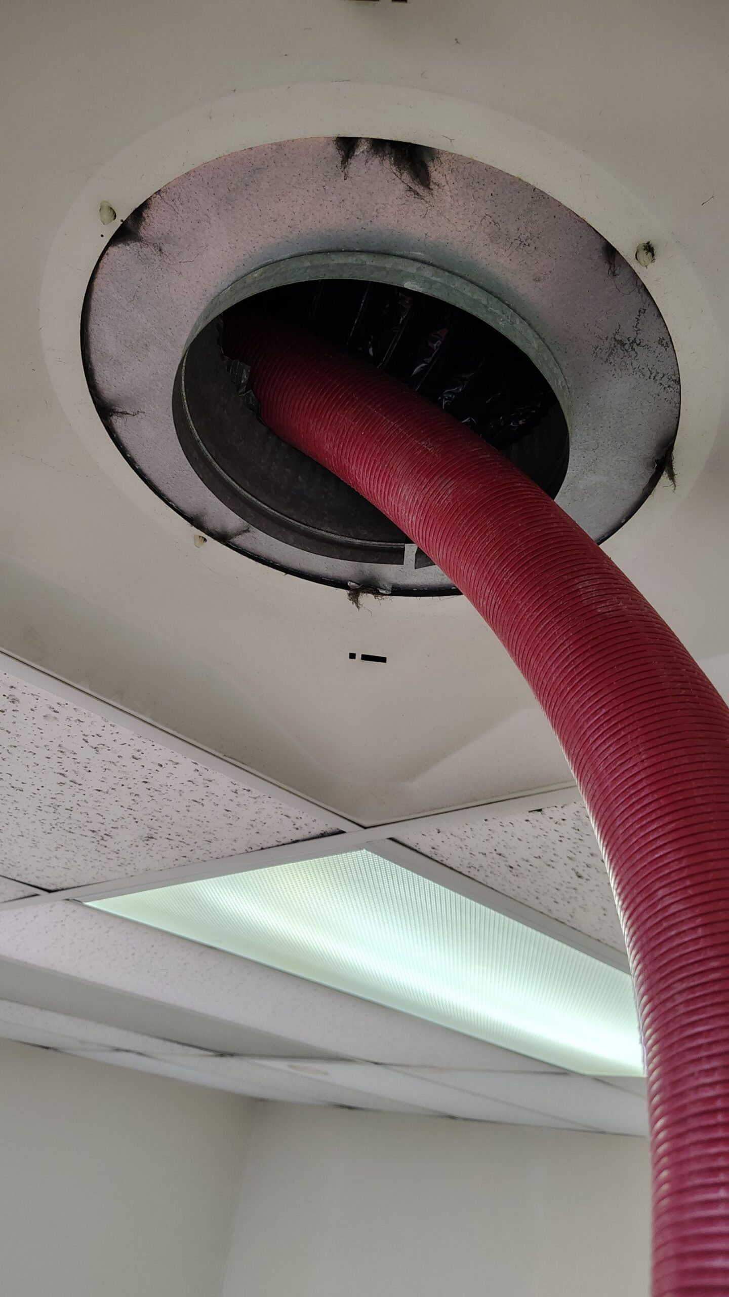 Mold Remediation/ Duct Cleaning, Malvern,PA