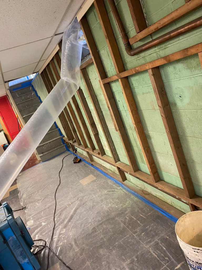 Basement Mold Remediation, Hatboro PA 6 h6f4bqtqueaaxnia1kkz