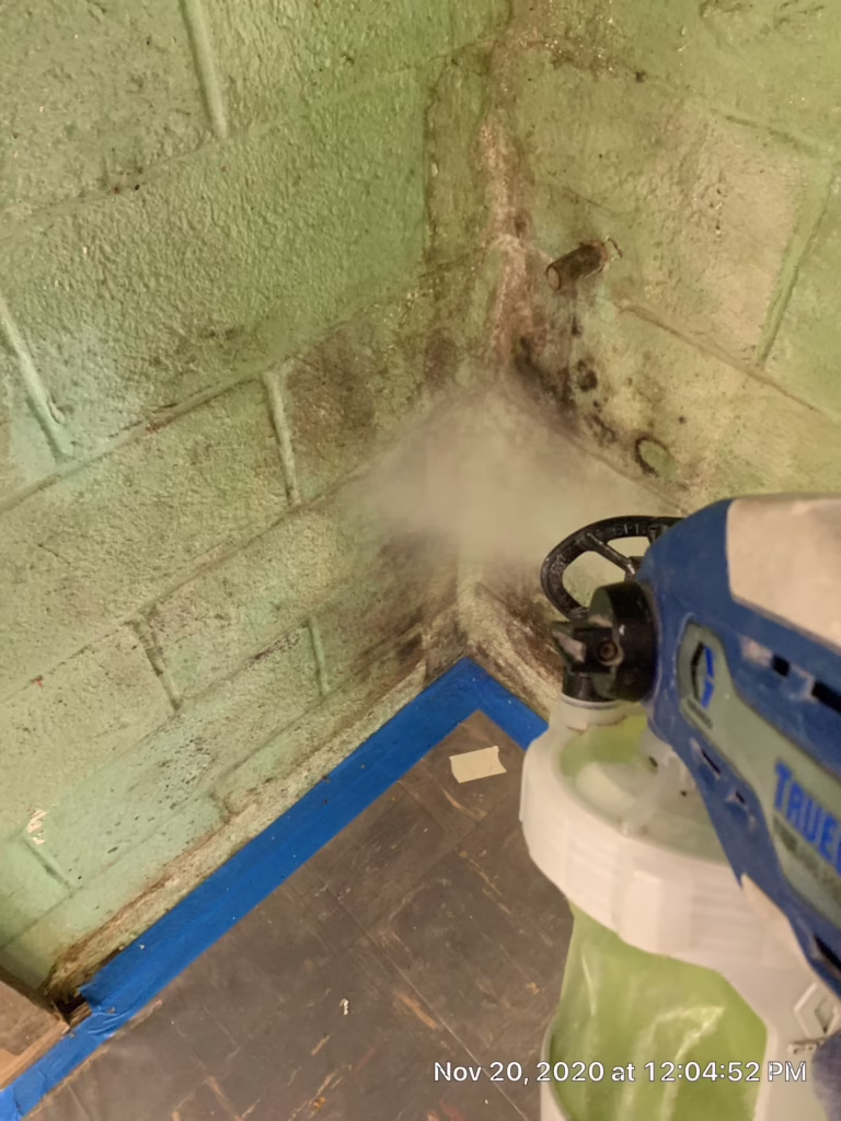 Basement Mold Remediation, Hatboro PA 4 p3ijpdhnbn2eyuszxt1e