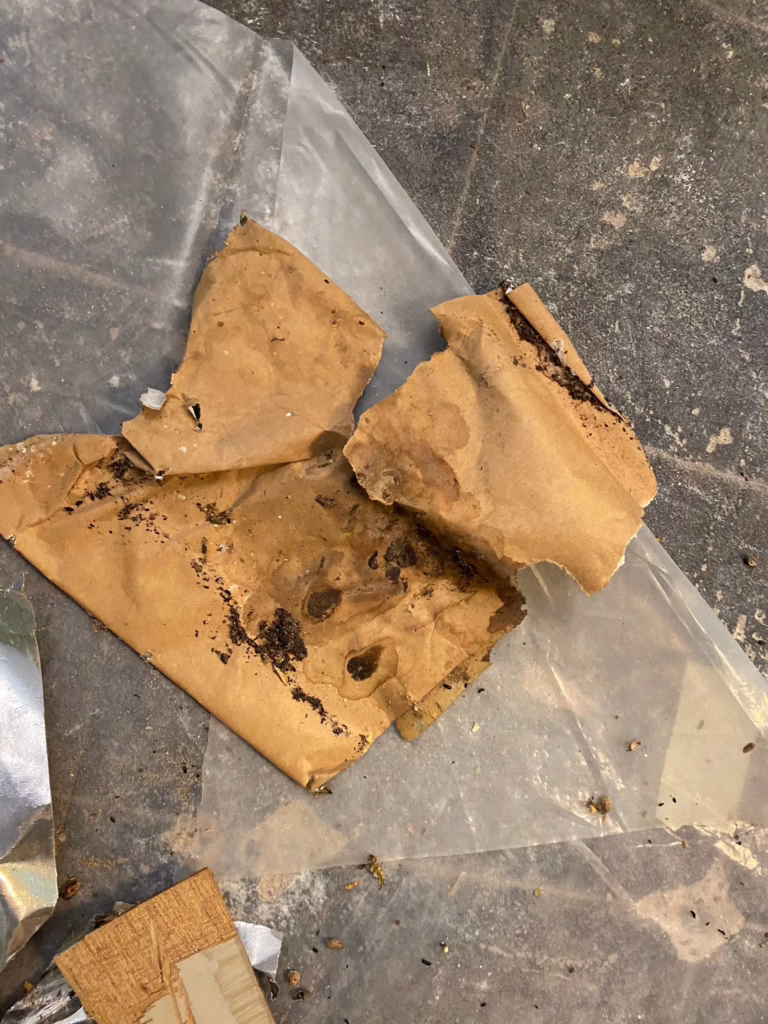 Basement Mold Remediation, Hatboro PA 5 rw4c3nhtsqhtiyerfimd